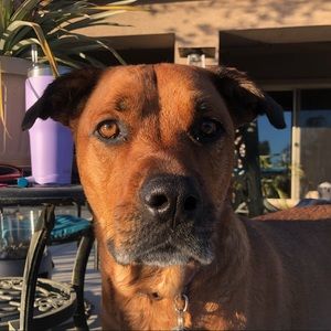 Meet your Posher, Leslie